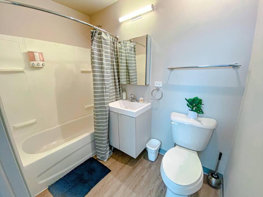 שיקגו Modern 2Br In South Loop Near Soldier Field, Grant Park, Downtown, & Lakefront Trail מראה חיצוני תמונה